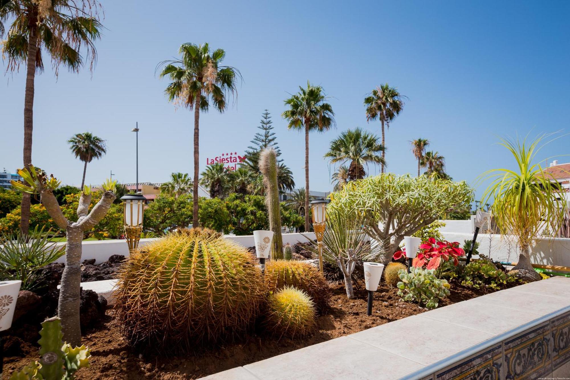 Appartement Go2tenerife Apart'ada Santiago 2